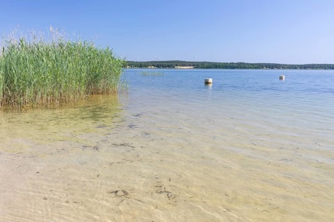 On the shore of the Scheibe-See, open-cast mining pit, which is now open for swimming, Hoyerswerda,