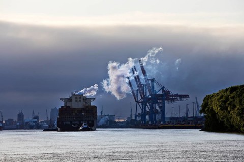 Container ship MSC Tokyo with two small tugs near the Burchardkai container terminal in the Port of