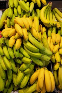 Ripe and unripe bananas (Musa), Bavaria, Germany