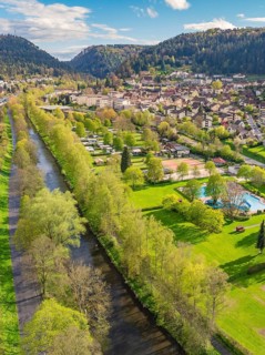 River runs through green landscape near town in mountainous surroundings, Bad Liebenzell, district