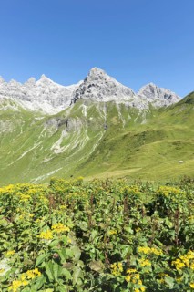 View from the Kemptner Hütte, 1844m, to the Muttlerkopf, 2368m, Allgäu Alps, Allgäu, Bavaria,