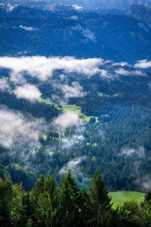 Mist in the valley, Allgäu Alps in the background, Sibratsgfäll, Austria