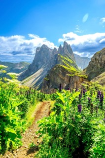 Scenic hiking path winds through lush vegetation, leading towards the impressive seceda mountain