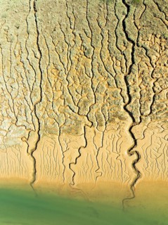 Network of channels and streams at low tide. In the marshland adjacent to the Odiel river. Aerial