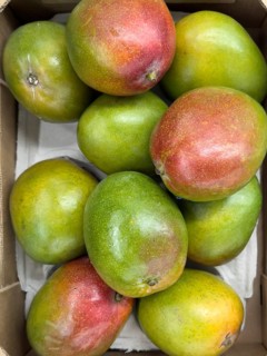 Natural organic fruit mango in loose pieces Display of retail wholesale greengrocer supermarket