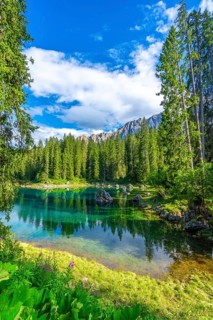 Emerald waters of lake carezza reflecting latemar mountain range and lush green forest on a sunny