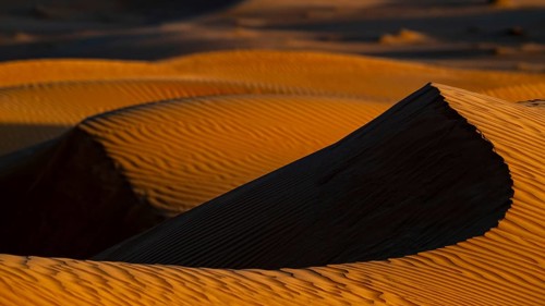 Sand dunes in the Rhub al Khali desert, detailed view, empty quarter, largest sandy desert in the