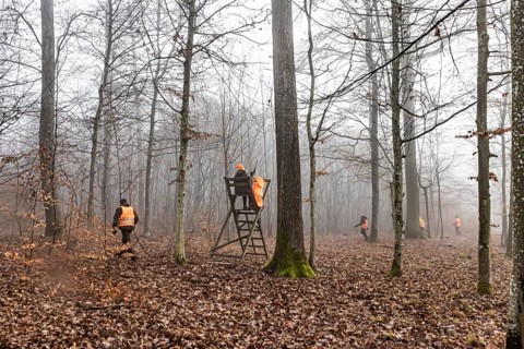 Driven hunting in Schönbuch. In autumn, hunters go hunting for wild boar and deer. Drivers in