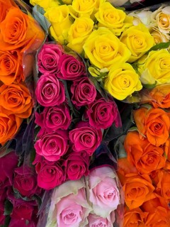 Top view of offer arrangement of roses in four bouquets bouquets of roses with pink pink yellow red