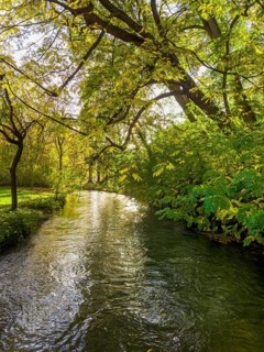 Autumn atmosphere in the English Garden, Schwabinger Bach, Munich, Bavaria, Germany
