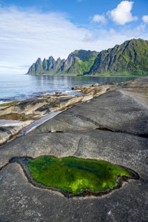 Green algae in a tidal pool, rocky coast of Tungeneset, Devil's Teeth, Okshornan, Ersfjorden, Senja