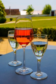 Froben Restaurant am Schloss, restaurant, gastronomy, drinking, wine glass, rose, wine, mineral