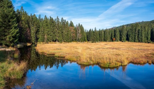 Kleiner Arbersee lake in autumn, Bavarian Forest, Lower Bavaria, Bavaria, Germany