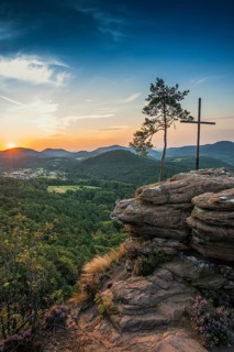 Sandstone rock with pine tree and summit cross, Rötzenfelsen, sunrise, Gossersweiler-Stein,