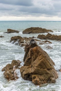 Rocks covered with shells on the Atlantic coast. Sables d'Olonne, Vendee France