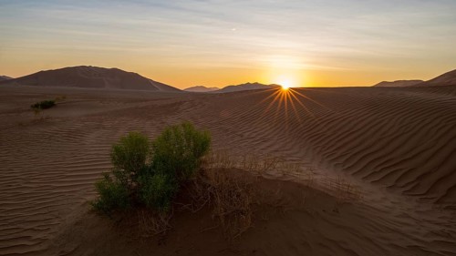 Sand dunes in the Rhub al Khali desert, empty quarter, largest sandy desert in the world, Oman