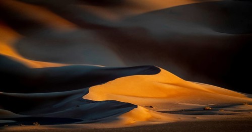 Sand dunes in the Rhub al Khali desert, empty quarter, largest sandy desert in the world, Oman