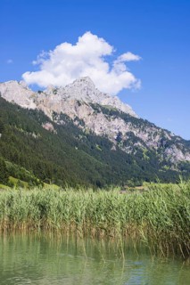 Haldensee, Tannheimer Tal, behind it the Rote Flüh, 2108m, Tannheimer Berge, Allgäu Alps, Tyrol,
