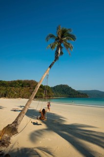 Sandy beach beach with coconut palms, Haad Khlong Hin Beach, Koh Kood, Koh Kut, Gulf of Thailand,