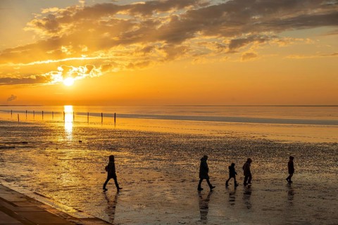 Mudflat hiker at sunset, family, 5 persons, mudflats, North Sea, East Frisia, Norddeich, Lower