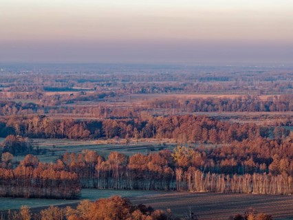 Landscape in the Drömling UNESCO Biosphere Reserve in the Altmark at dawn on a cold spring day. The