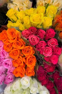 Top view of offer arrangement of roses in five bouquets Bouquets of roses with pink pink yellow