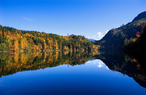 Mountain lake, Colourful autumn forest reflected in the Nussensee, Salzkammergut, Salzburg