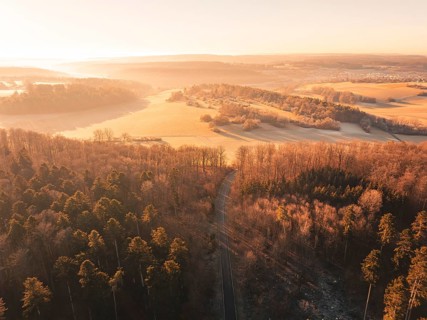 Aerial view of a road through a forest and past fields in the soft morning light, Gechingen