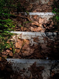 Tree leaves fallen on the steps of a staircase .Nevers. Nievre departement. France