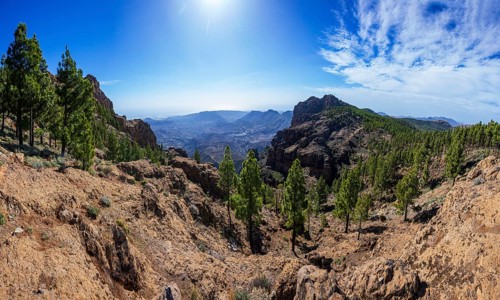 View into the valley of the Caldera de Tirajana, pine forest around the summit of El Campanario,