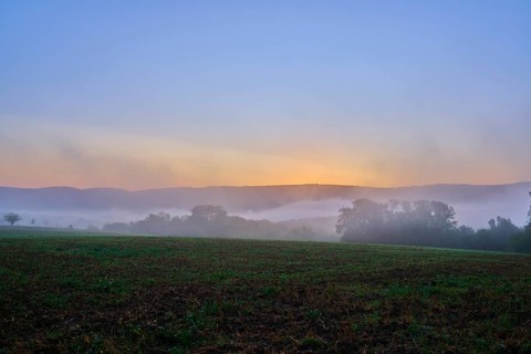 Dawn over a foggy cereal field with hills and trees in the background in a quiet atmosphere,