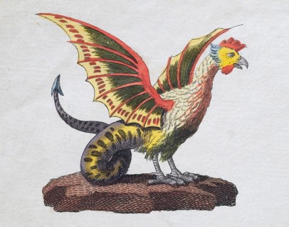 Basilisk, mythical creature, hand-coloured copperplate engraving, from Friedrich Justin Bertuch's