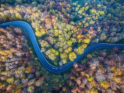 Winding country road through a forest with autumn-coloured trees, Swabian Alb in autumn. Aerial
