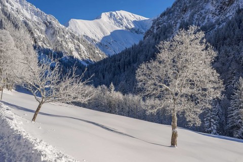 Winter landscape, Dietersbachtal near Oberstdorf, behind it the Rauheck, 2384m, Allgäu Alps,