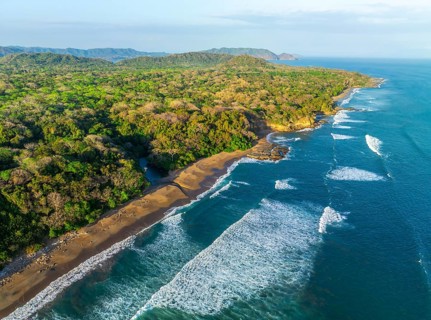 Aerial view, rainforest, sandy beach and coast with waves, Playa Cocalito, Puntarenas, Costa Rica