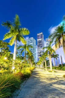 Miami skyline with skyscrapers at Maurice A. Ferré Park at night in Miami, USA