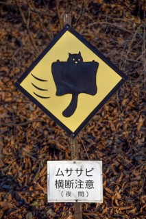 Curious shield, warning against Japanese Giant Squirrel (Petaurista leucogenys), near Kariuzawa,