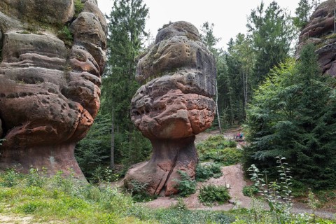 Natural monument Kelchsteine with mushroom rock Kelchstein near Oybin, Zittau Mountains, Saxony,
