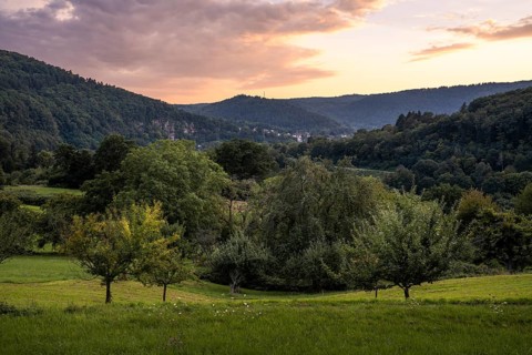 Landscape near Dilsberg in the Neckartal-Odenwald nature park. In the background, houses in