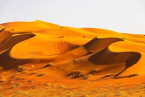 Wind-sculpted curved sand dunes in the Rub al Khali desert, Dhofar province, Arabian Peninsula,
