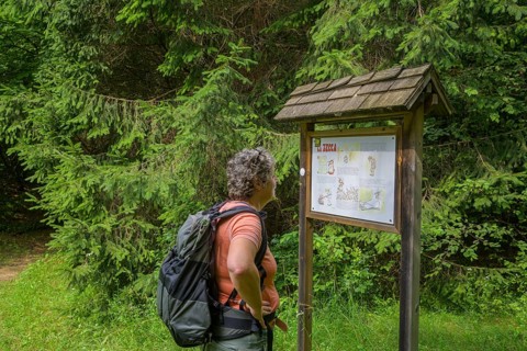 Hiker looking at a signpost about the danger of ticks (Ixodida), Tramonti di Sopra, Province of