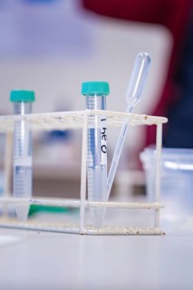 Test tubes in a rack with pipette in a laboratory environment, Nagold Youth Research Centre, Black