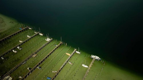 Extremely low water on the island of Reichenau in Lake Constance April 2025