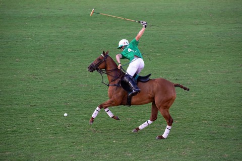 Scene from the 131st Argentine Open Polo Championship (Spanish: Campeonato Argentino Abierto de