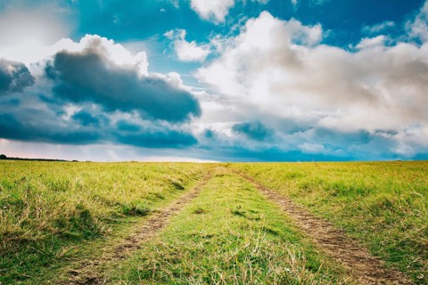 Lonely dirt road surrounded by grass under a blue sky with fluffy clouds. View of a grass dirt road