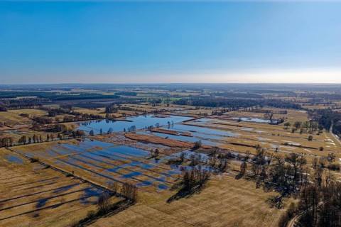Moats and wetlands in the UNESCO Drömling Biosphere Reserve in the Altmark near Mieste on a sunny