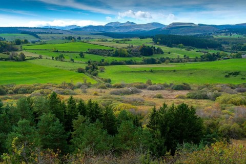 Auvergne Volcanoes Regional Natural Park. The Narse d'Espinasse (bog), in background the Monts Dore
