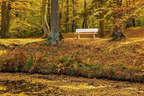 Castle park of Hermsdorf Castle in autumn, Ottendorf-Ockrilla, Saxony, Germany