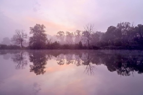 Morning atmosphere at the Flachsee, trees reflected in the water, Rottenschwil, Canton Aargau,