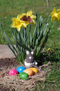 Daffodils (Narcissus), Easter, butterfly, Easter eggs, Easter nest, Easter bunny, colourful, A
